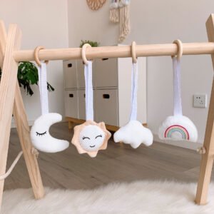 Newborn decorative ornaments and training toy